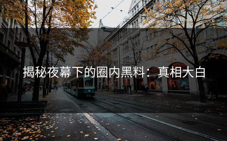揭秘夜幕下的圈内黑料：真相大白