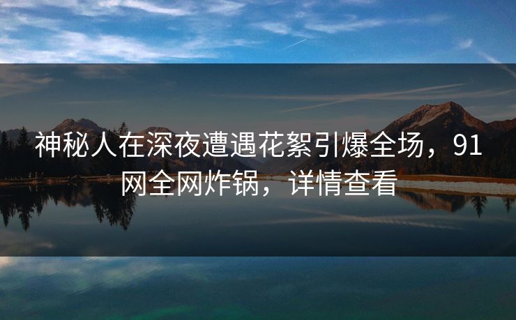 神秘人在深夜遭遇花絮引爆全场，91网全网炸锅，详情查看