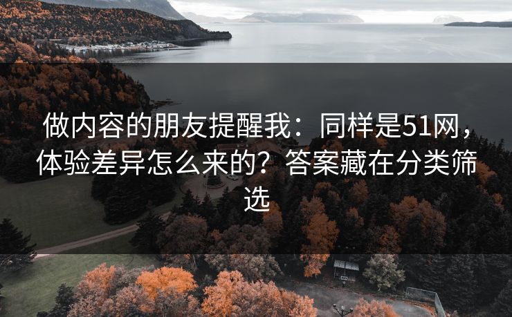 做内容的朋友提醒我：同样是51网，体验差异怎么来的？答案藏在分类筛选